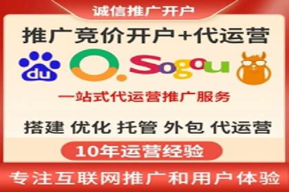 百度竞价广告的投放策略与成功案例分析